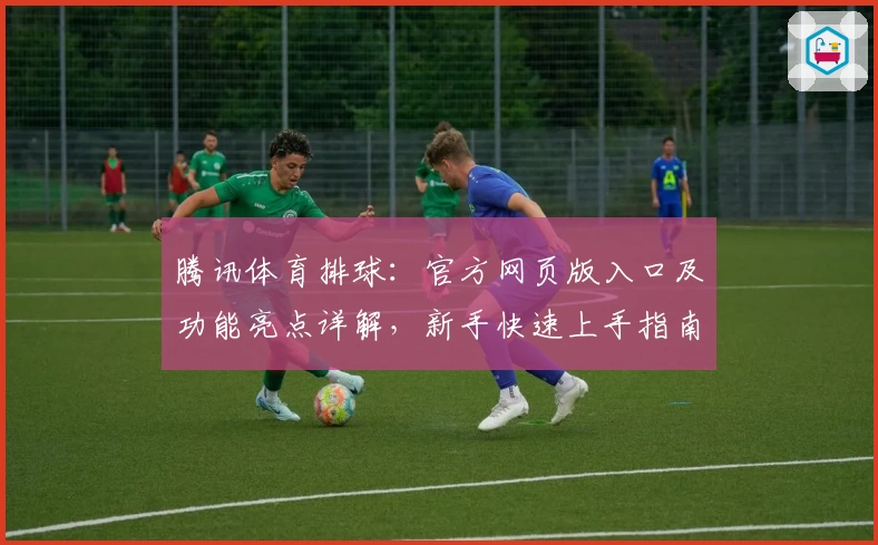 腾讯体育排球：官方网页版入口及功能亮点详解，新手快速上手指南